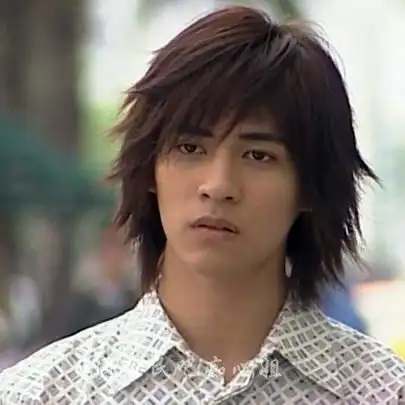 f4流星花园花泽类周渝民中长发帅哥 男长假发 周渝民 古装假发 男_7折