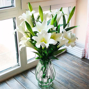 香水百合花水培水养花插室内客厅办公室四季好养鲜切花卉北京同城