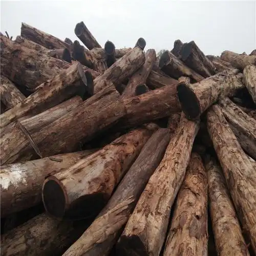 【非洲黑檀木】张家港原木 沉贵宝 皮灰 非洲黑檀 非洲柚木 价格优惠