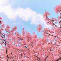 好看吉利招财的风景头像