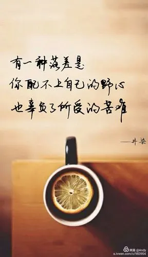 有一种落差是 你配不上自己的野心 也辜负了所爱的苦难