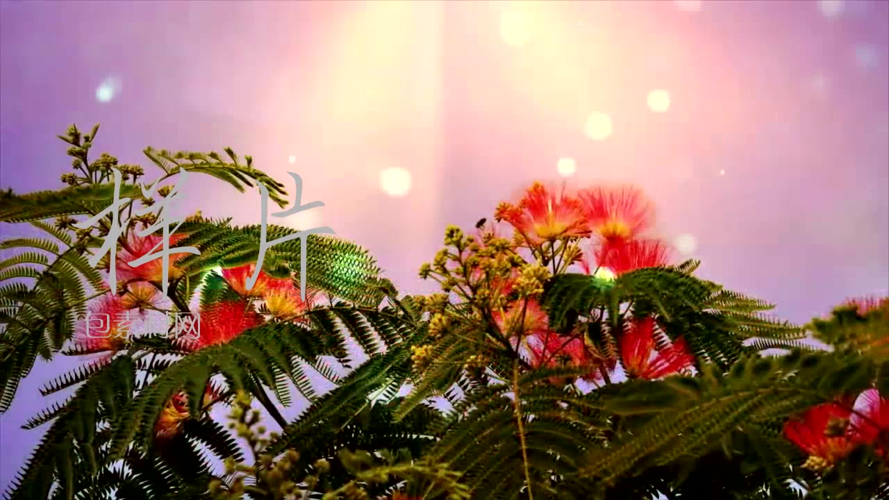 绒花歌曲演唱舞台led大屏幕高清背景视频素材包素材网