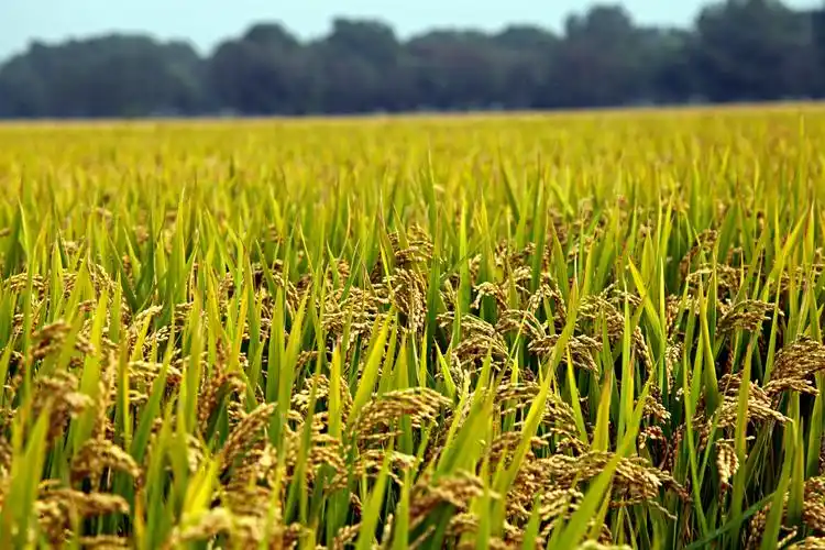 风云 摄影需要深思