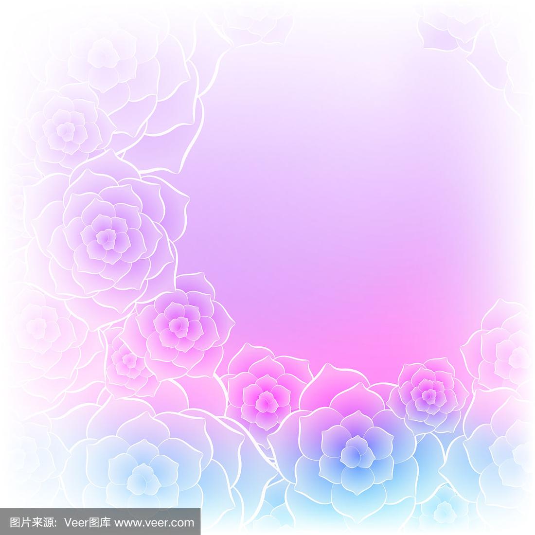 美丽的紫粉色玫瑰花背景