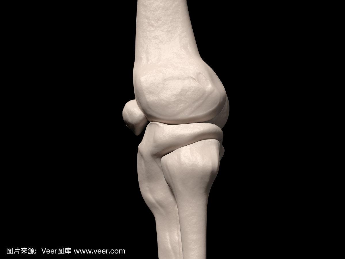 人的膝盖特写
