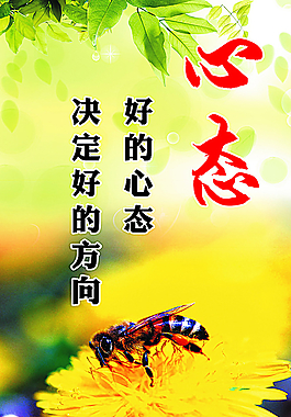 21715个关于"心态好"的素材