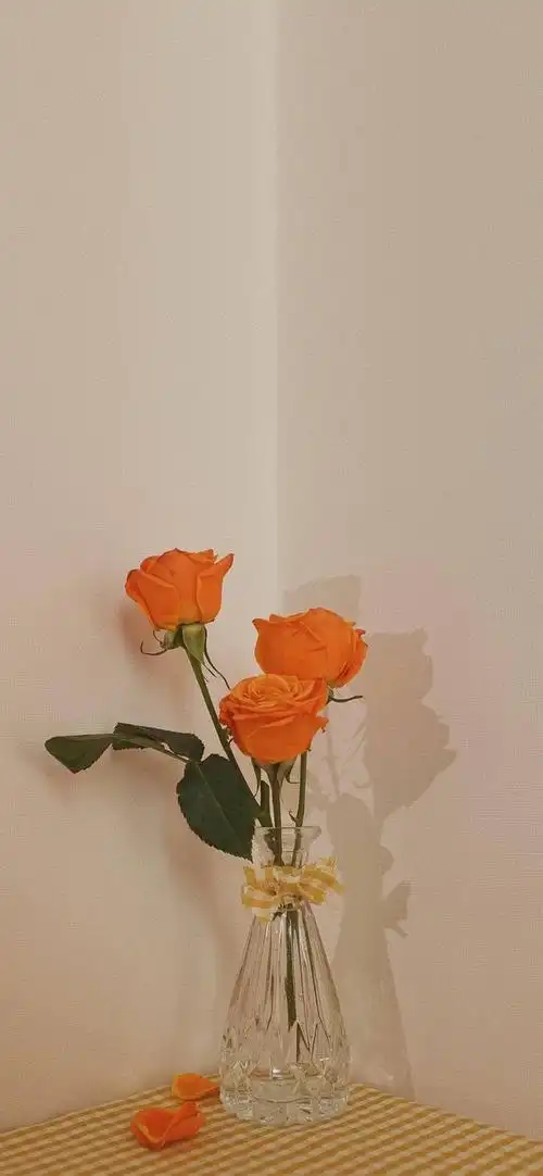 一些干净的只有几只花的壁纸楼内有菩萨贴了大量花花壁纸