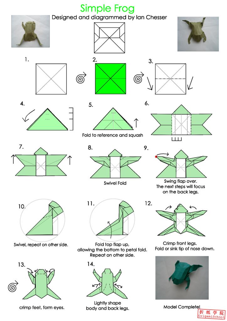 谁会折纸青蛙 会跳的那种 要图片教程的