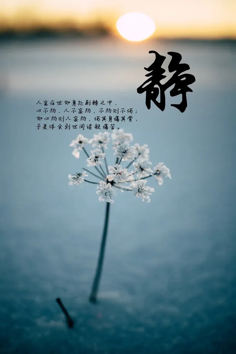 让心静下来, 你才能看淡一切.