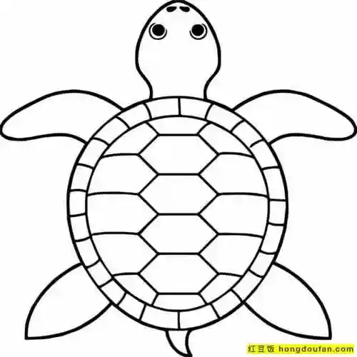 5到8岁小朋友们最喜欢的小乌龟宠物卡通涂色-红豆饭小学生简笔画大全