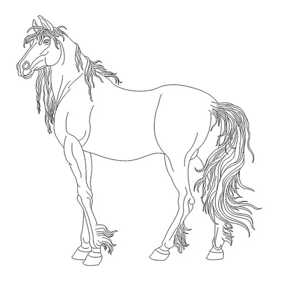 白描花鸟之乾马篇