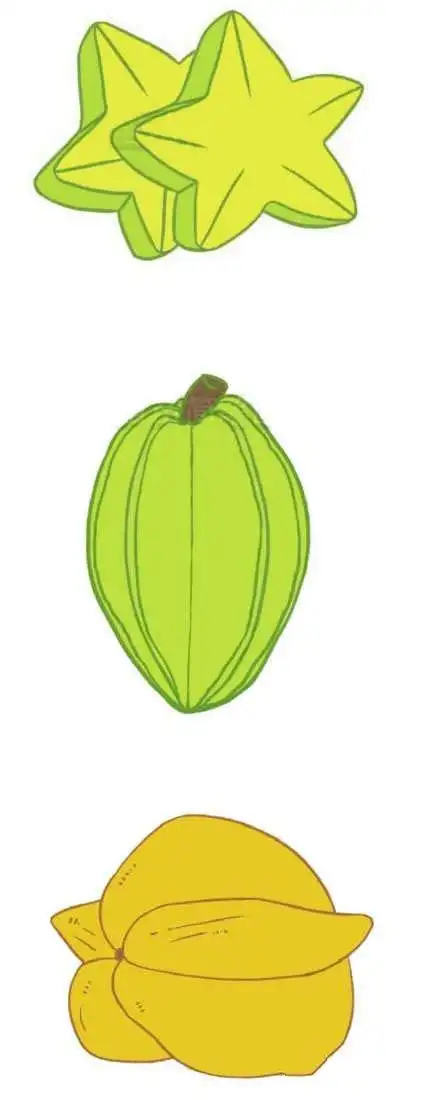 彩色杨桃怎么画简单漂亮_简笔画 - 搜图案网