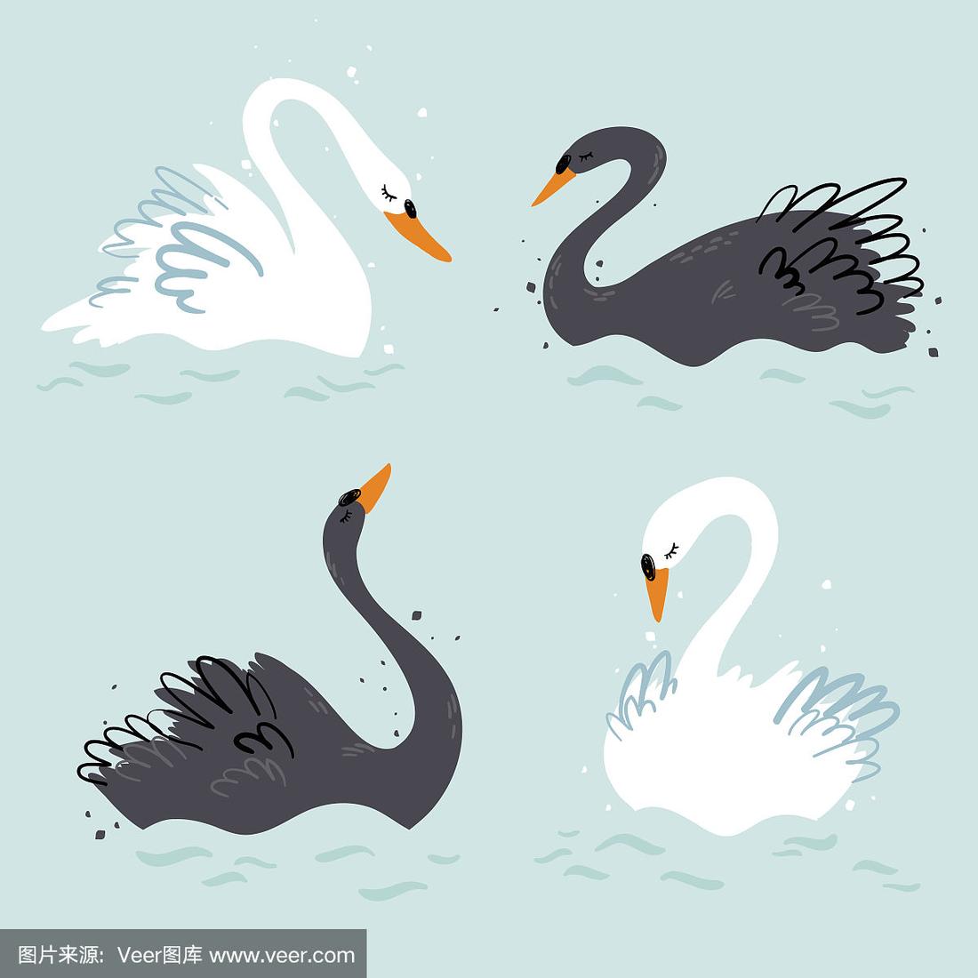 优雅的黑天鹅和白天鹅矢量插图