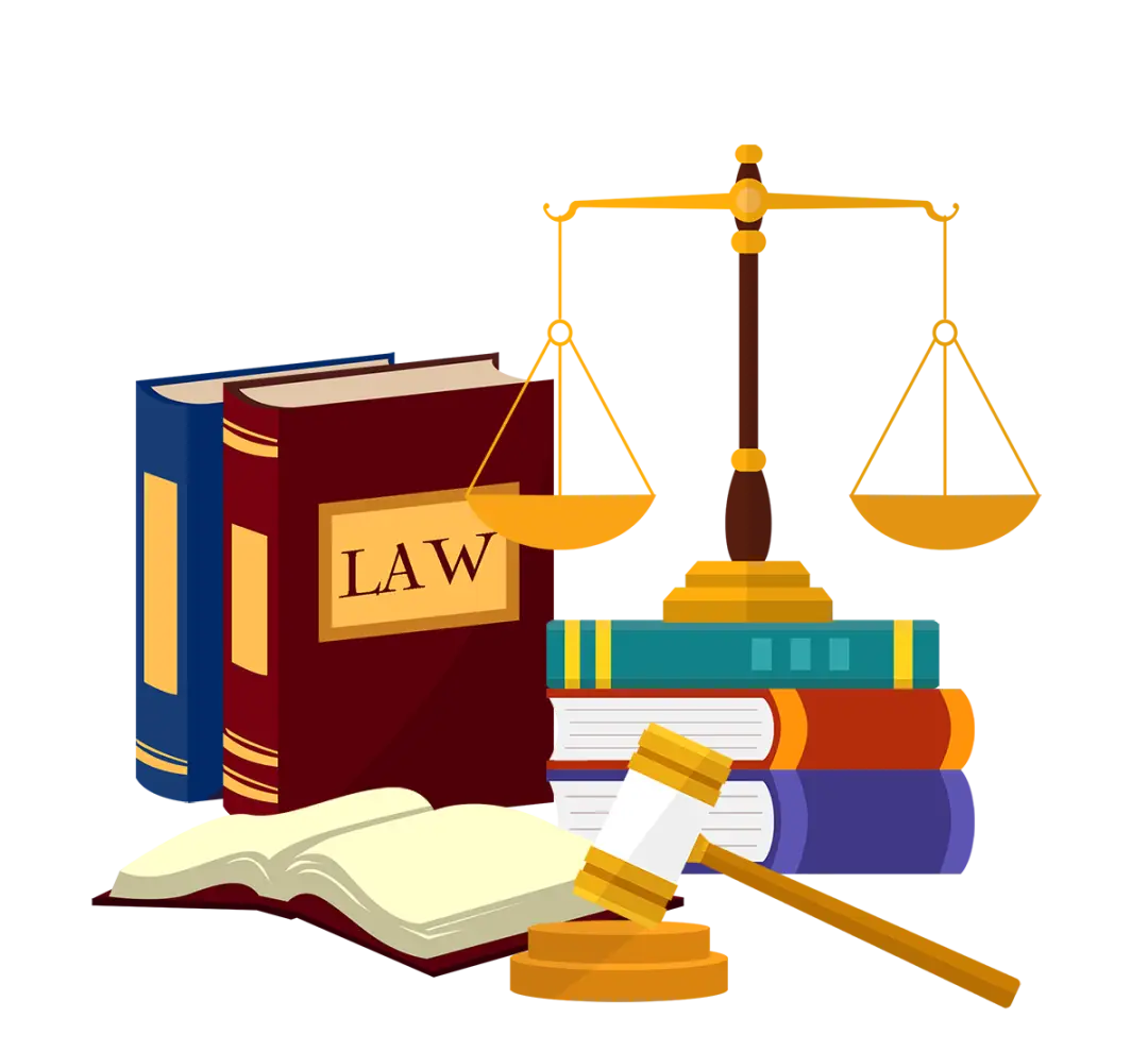 国家宪法日 | 一则动画看懂宪法_国家宪法日_法律_保护