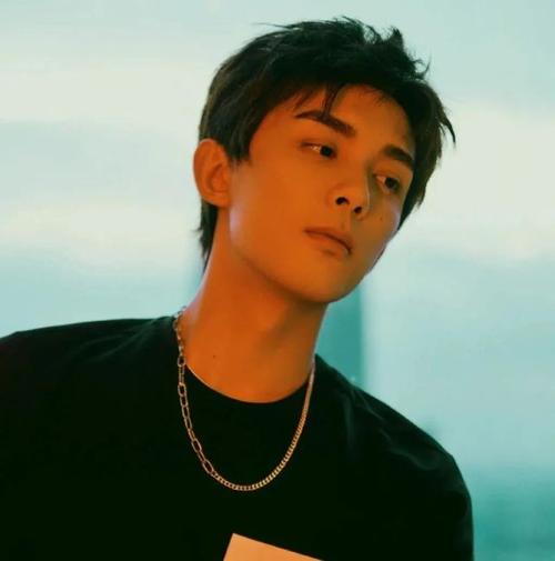 明星头像系列吴磊