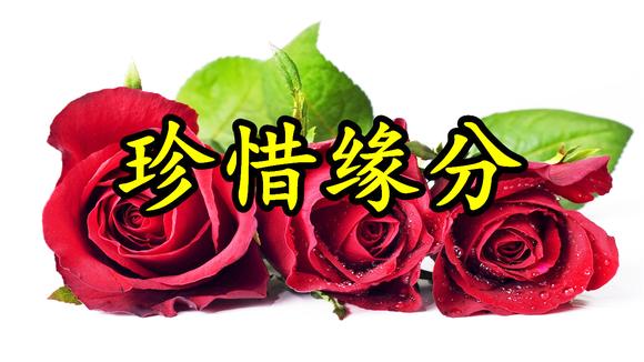 情歌:《珍惜缘分》无论我走到哪里,你都在我的心里-音乐视频-搜狐视频