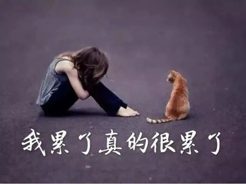 人累心累身心疲惫图片人累心累身心疲惫图片心累