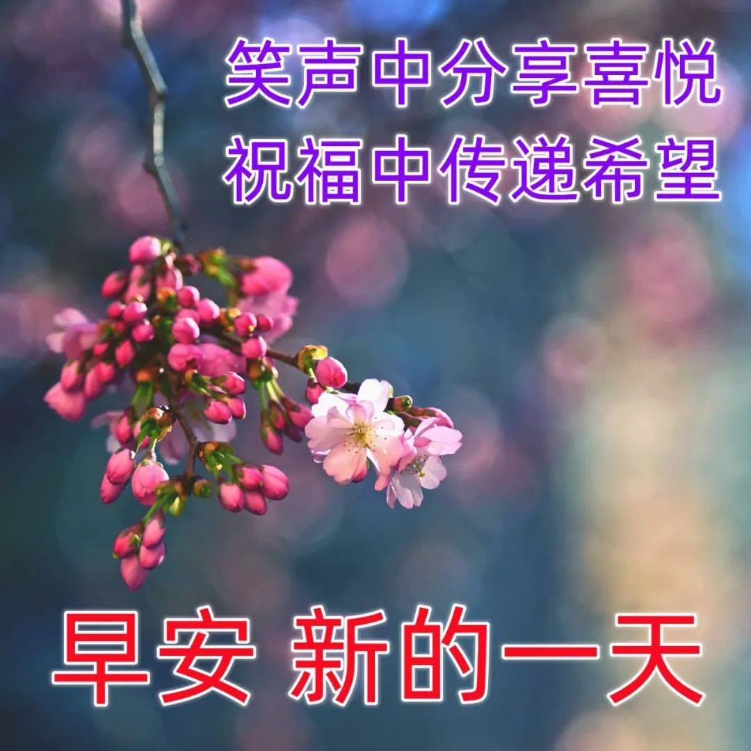 新的一天早安问候祝福语大全简短语句_人生_向前_阳光