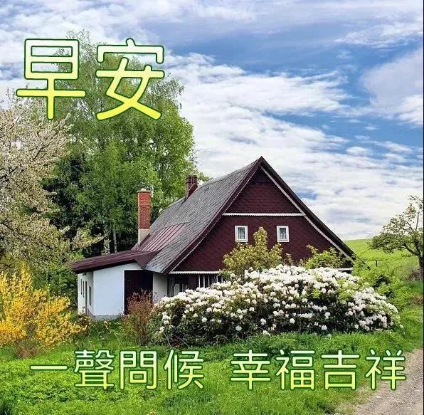 9张最新创意好看的夏日早安早上好图片 不用打字聊天的夏天早上好问候