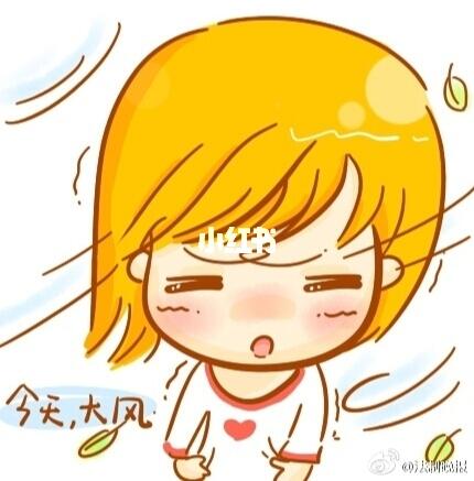 今天风太大了伞都被吹跑了两点半出门到4点都没有办法摆摊儿只好又