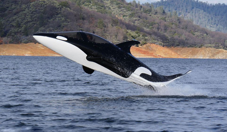 美公司用退役战机造鲨鱼快艇 售价40万元超吸睛