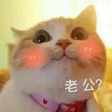 撩老公系列表情包你敢发吗