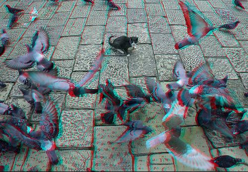 就是3d的,戴红蓝眼镜看的图片或电影 (因为就这幅图我看了最为立体,要