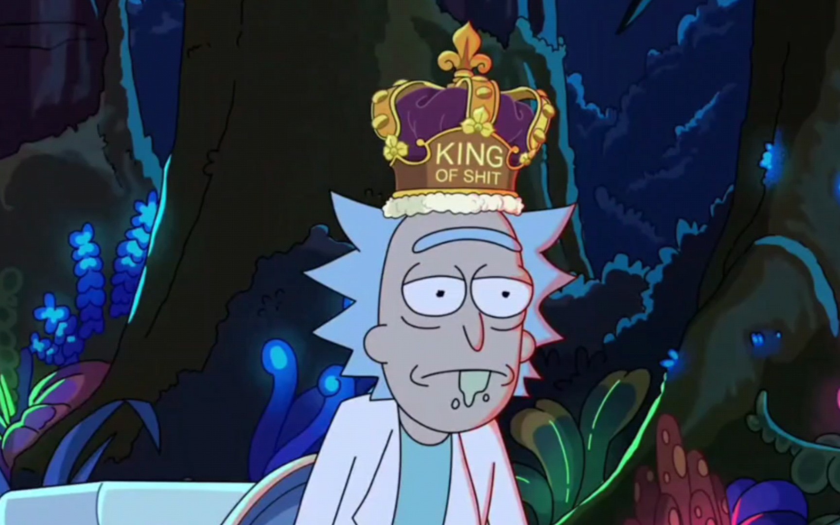【瑞克与莫蒂】瑞克姥爷:king of shit!(便王由来)