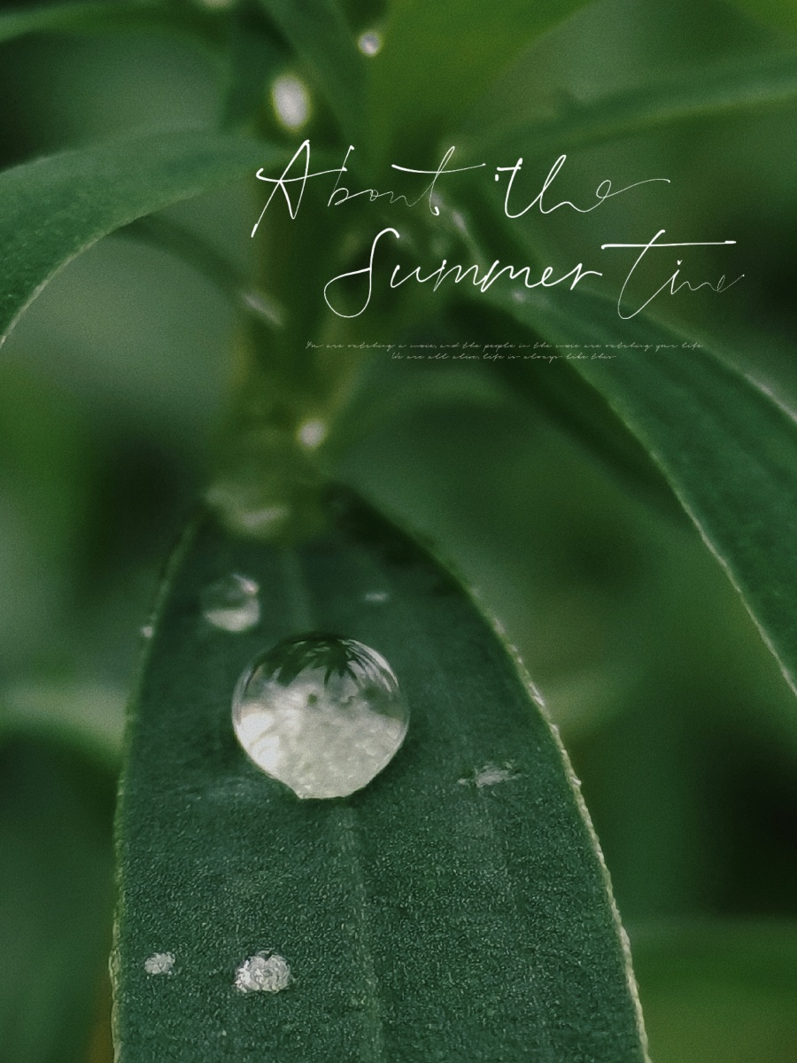 墨绿色 - sodoli - 图虫