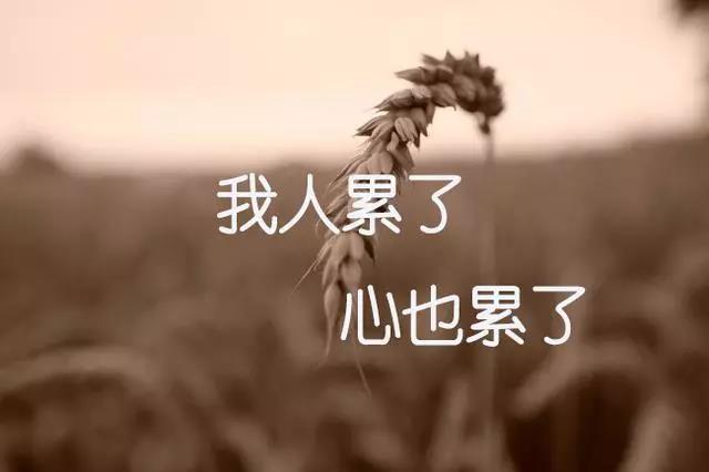 失望到闭口不言的句子心累心淡心凉的图片