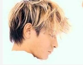 谁有华仔99年那时候黄头发的相片?