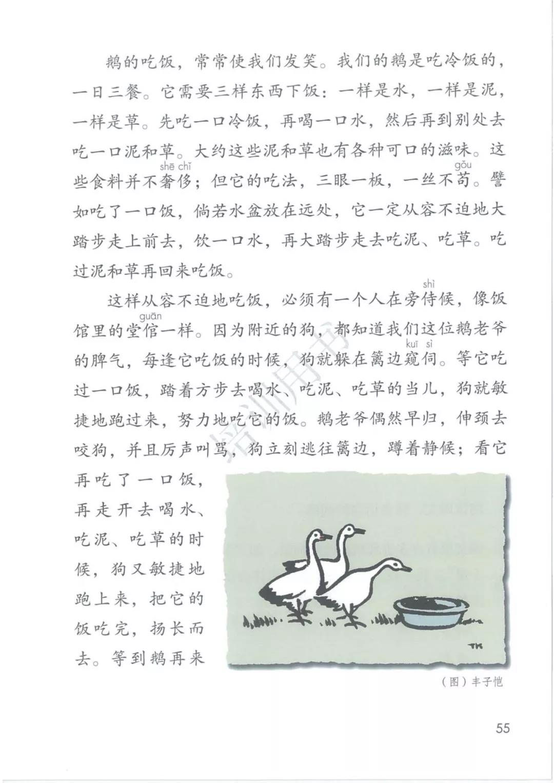 3216 15 白鹅 丰子恺 倍速播放下载收听 00:00 04:59 四年级下册课