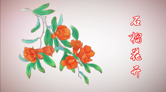 石榴花的简笔画手抄报 花的手抄报