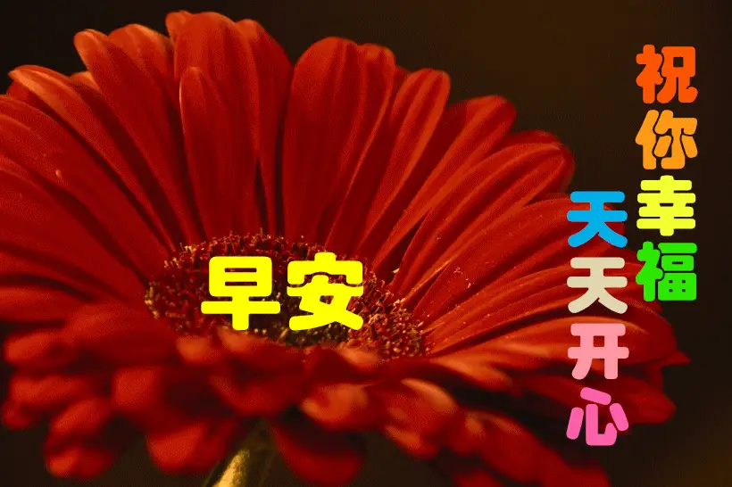 2020早上好问候祝福语句子,朋友圈早上好祝福语动态图片带字