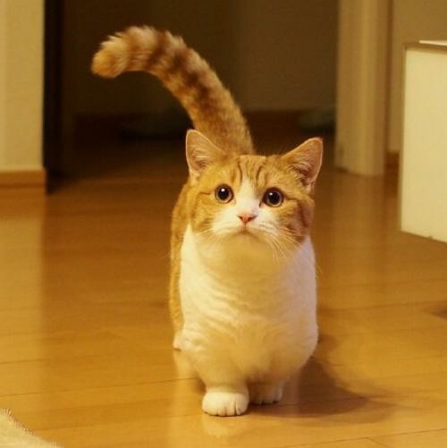 同人小说 赛里十位兄弟姐妹身份:赛里家三姐,奇迹之神,花之法神(奇迹