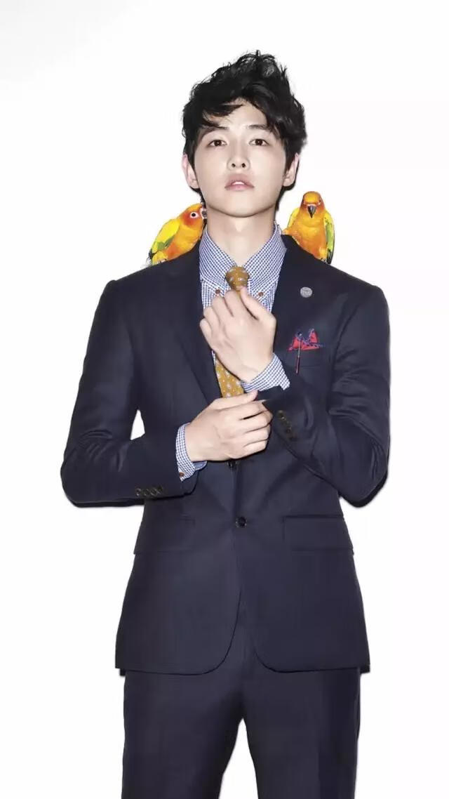 宋仲基壁纸图片(宋仲基高清壁纸手机)-百科学社