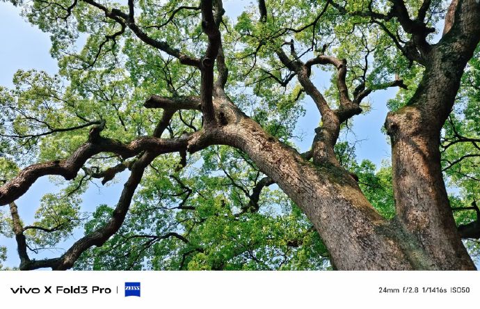 vivoxfold3##手机摄影