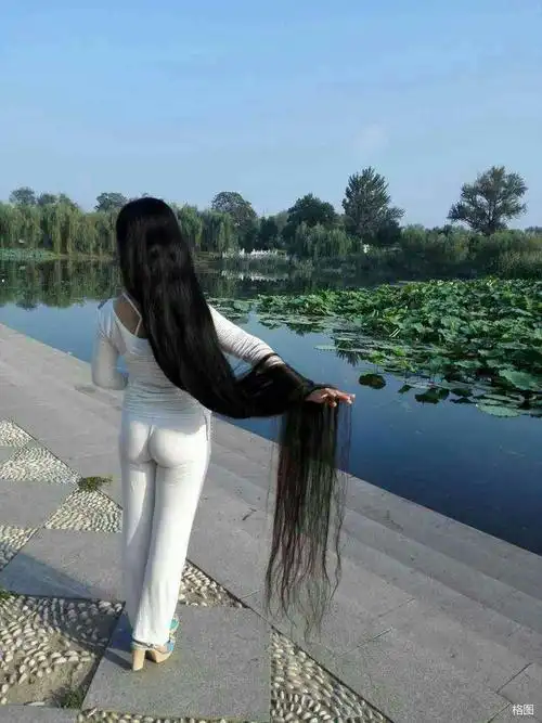 网络长发大搜集5