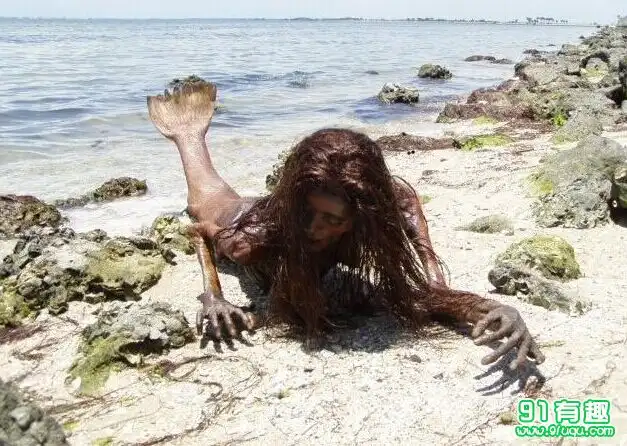 怀孕的美人鱼真身图片