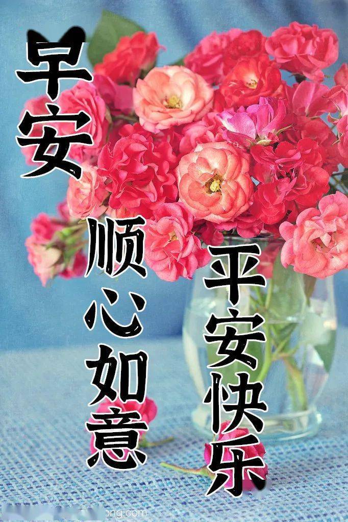 6月24日最漂亮早上好动态表情图片大全早晨好动图美图大全