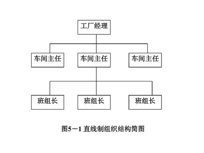车间主任 车间主任 班组长 班组长 班组长 图5-1 直线制组织结构简图