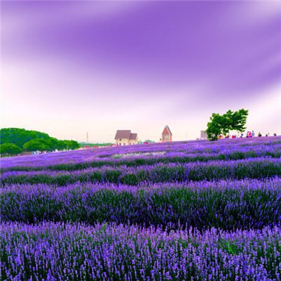 2021带来好运的微信头像图片 漂亮高清