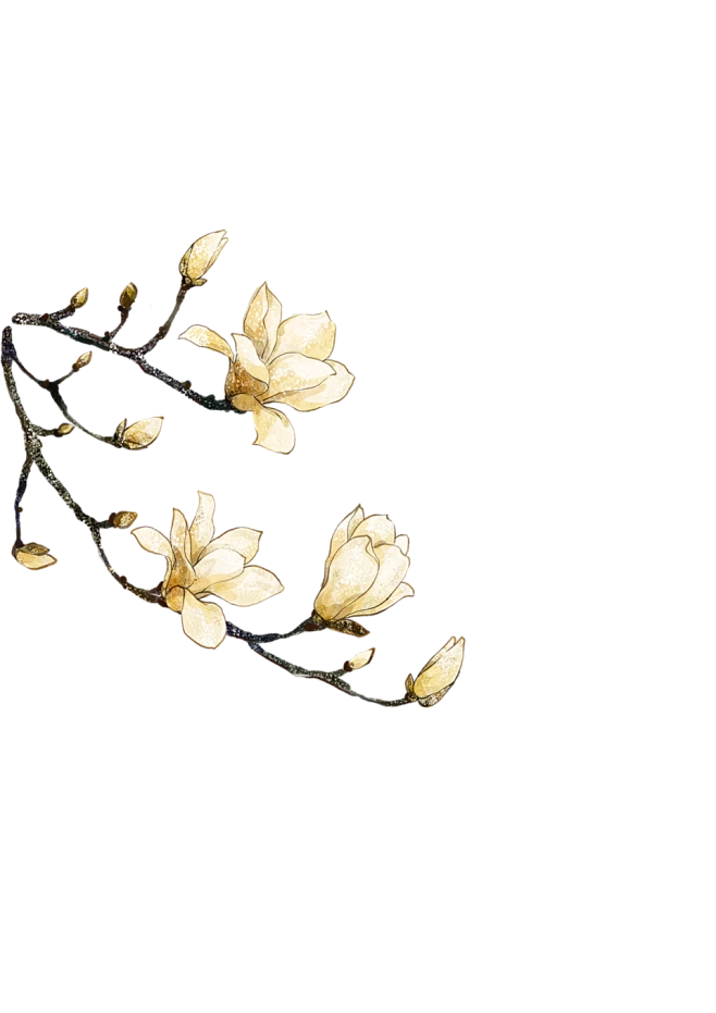 古风素材花免扣