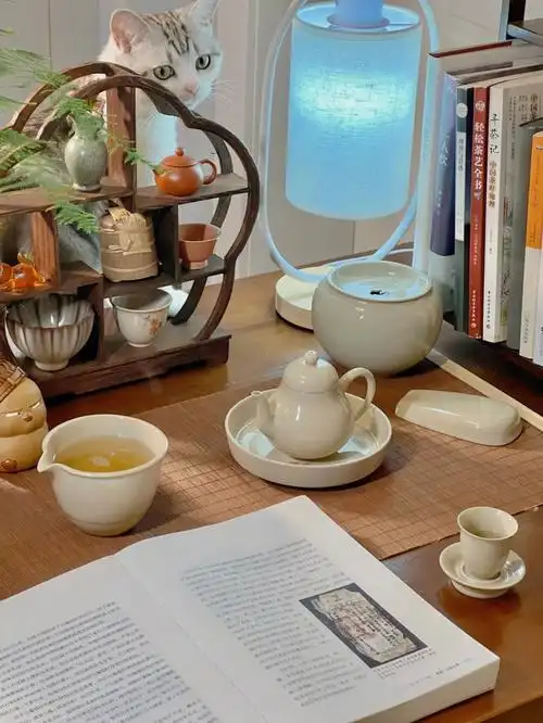 喝茶看书一只猫咪探头来百元内茶器套组