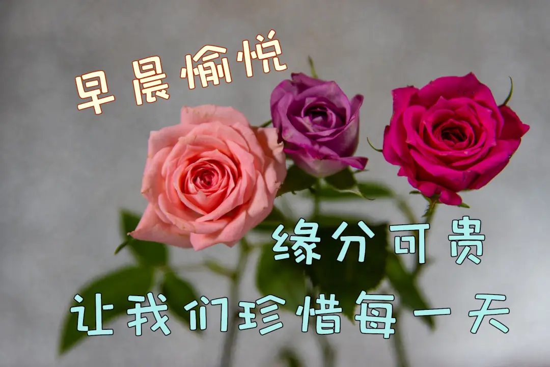 早安祝福美图早上好问候句子