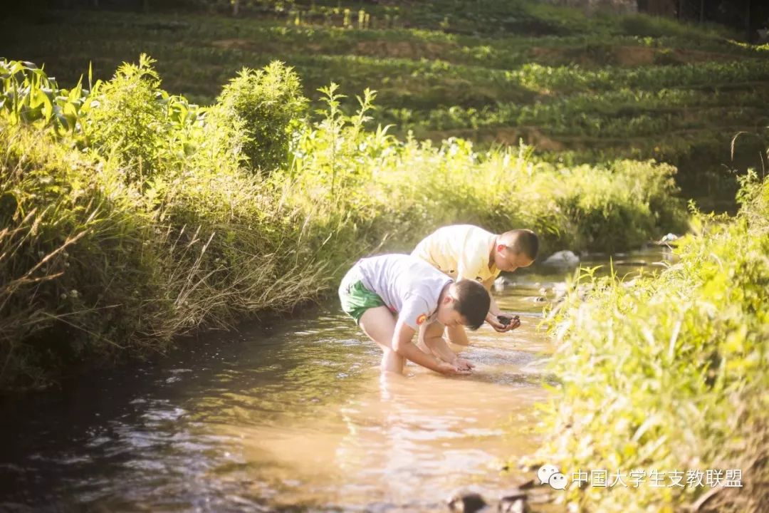 童年的夏天内附组图