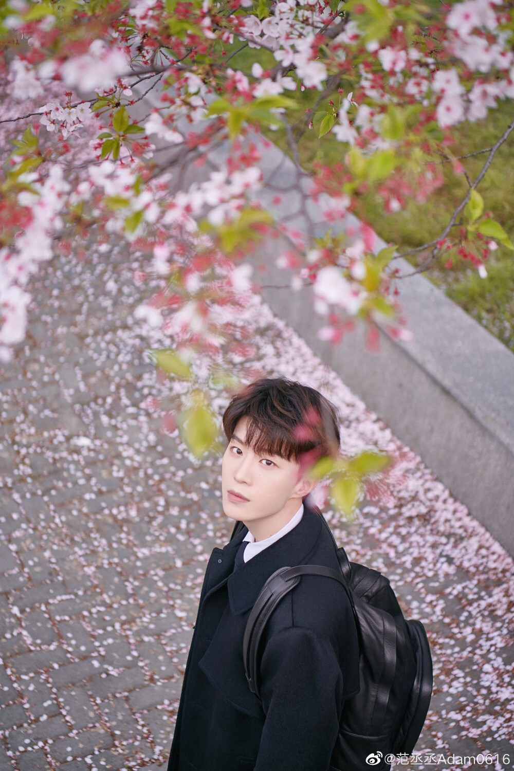 丞丞三周年快乐呀 - 堆糖,美图壁纸兴趣社区