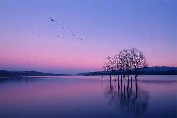 唯美富有诗意的短句(唯美富有诗意的句子)-升本吧