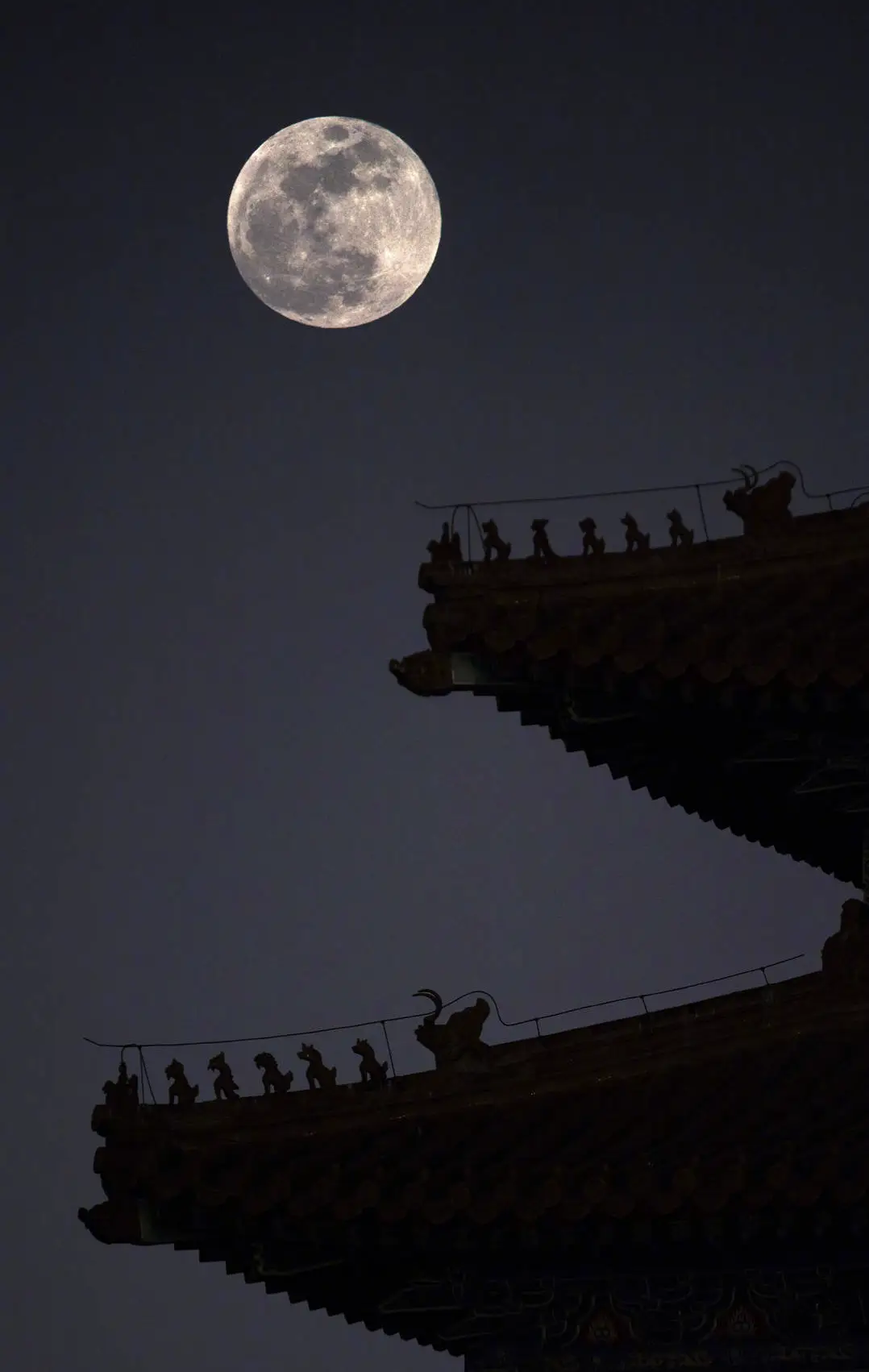 明月皎皎胡不归?_手机搜狐网