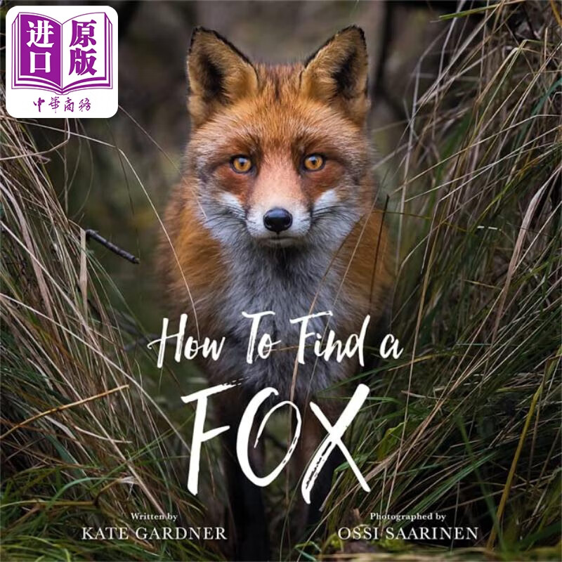 ossi saarinen:how to find a fox 如何找到一只狐狸 英文原版 进口